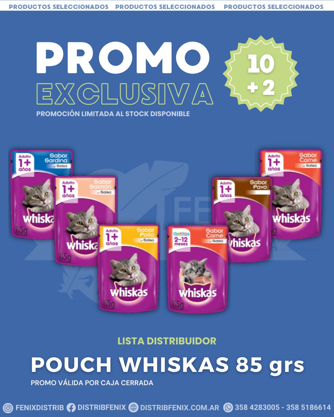 WhatsApp Image 2025-08-21 at 10.27.50