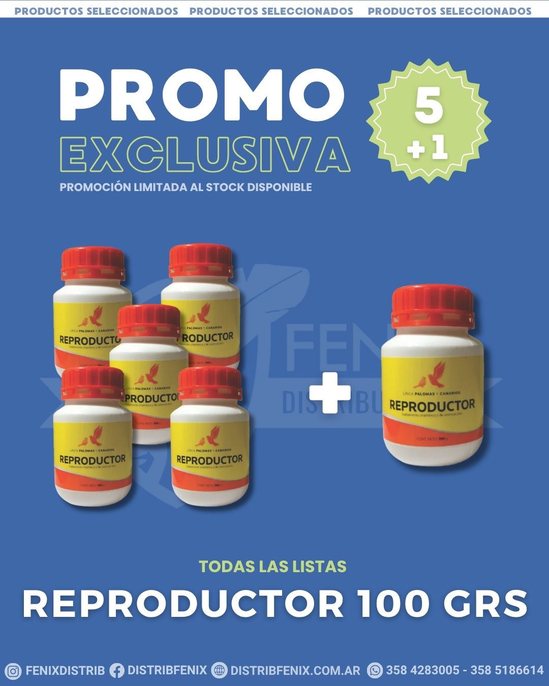 WhatsApp Image 2025-08-21 at 10.29.14